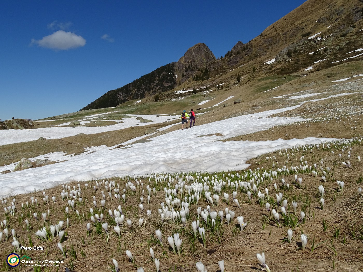 30 Attraverso a percorso libero i pascoli innevati-fioriti del Monte Campo.JPG